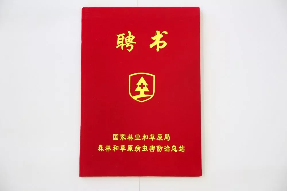 ���w�Ƽ��܇�(gu��)�������������ӡ��Ї�(gu��)ɭ�ֲ��x���ڰˌþ�ί��(hu��)���ֲ��к�������،W(xu��)�g(sh��)��ӑ��(hu��)
